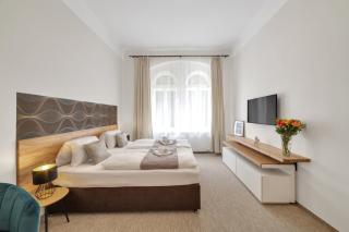 Rezidence Villa Gloria - Marienbad - 9