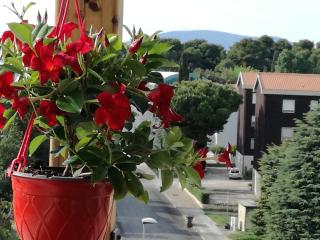 Nel blu dipinto di blu - 1