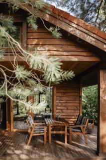 Beržų namelis - Birch cabin - Kučiūnai - 8