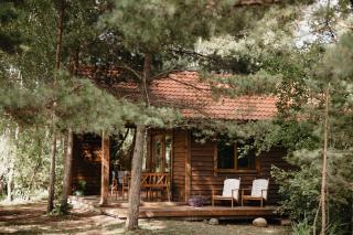 Beržų namelis - Birch cabin - 9