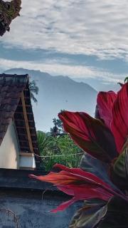 House market - 4