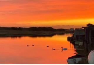 HenreeenOnWidewater - Lancing - 6
