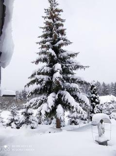 Chata U Juraja - Hruštín - 7