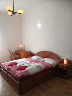 Swiss House Apartments - Slavonice - 5