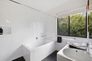 Moggs Magic - Aireys Inlet - 3