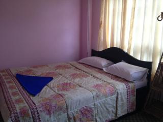 Pashupati Darshan Hotel - 2