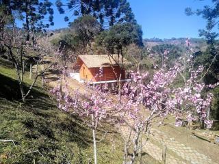 Chalé da Mata - Sapucaí-Mirim - 0