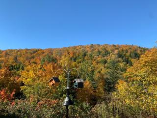 Loft Nature Laurentides - 8
