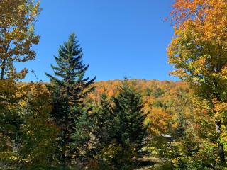 Loft Nature Laurentides - 9