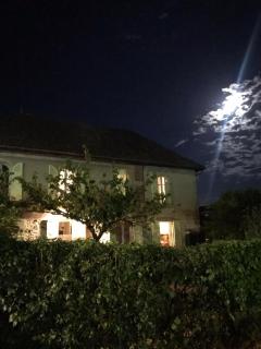 chambre chez l'habitant, axe A62, à 20 min d' ouest d'Agen, parking dans la rue gratuit, accès cuisine, convivial - Port-Sainte-Marie - 3