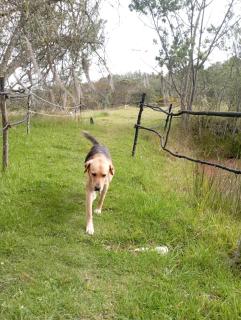Glamping El Refugio - Guatavita - 5