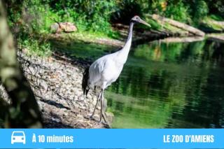 GRAND STUDIO AMIENS GARE TOUT CONFORT WIFI NETFLIX 2PERS - Amiens - 5
