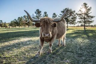 Abingdon House - Mudgee Retreat - 2