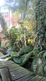 O Fada da Floresta é seu refúgio p/ até 4 pessoas - Gramado - 9