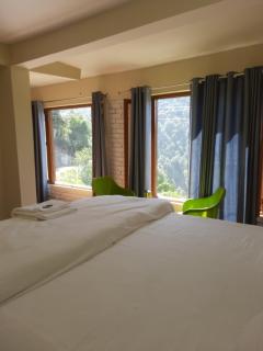 shri Chandra homestay kainchidham - Nainital - 0