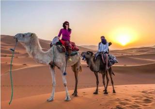 Luxury traditional Tent Camp - Merzouga - 5
