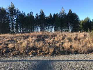 Nice & New - Twizel - 3