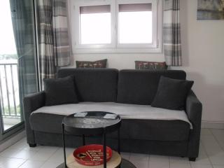 Appartement T2, 7 JOURS MINIMUM, Climatisé, 3 étoiles, 40m2 ,parking privé, Mer 300m, Wifi, Piscines, très propre, Ascenseurs, en étage - Le Grau-du-Roi - 2