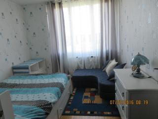 Le lac, la neige,la vue - 4