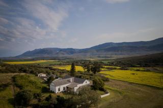 Bontebokskloof Manor - Swellendam - 8