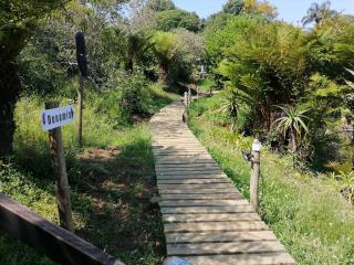 Chosen Glamping Tents - 1