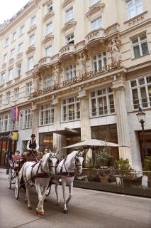 Steigenberger Hotel Herrenhof - Wien - 8
