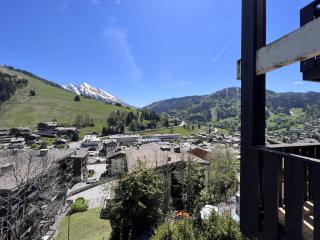 Ours Blanc 9 - Studio 4 pers belle vue montagnes et pistes - La Clusaz - 3