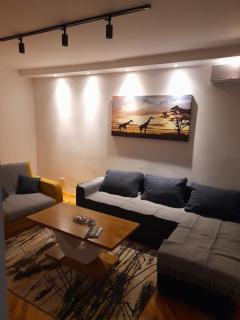 Holiday apartaments 2 - Niš - 3