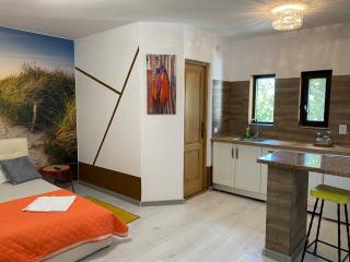 Garsoniera centrală lux Royal - Craiova - 6