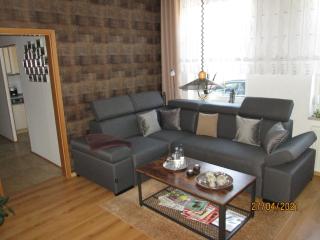 Zentrale-ruhige Ferienwohnung - Reichenbach im Vogtland - 4