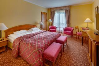 Hotel Savoy Prague - Prague - 5