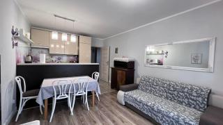 Selenza Apartament by Apartamenty na dni Wrocław - Wrocław - 8