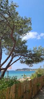 Le Tamaya plage Charmant T2 en rez de jardin A 2 pas d une belle plage de toutes commodités et centre ville port - Cavalaire-sur-Mer - 3