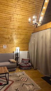 Eco cottage Kazbegi - Kazbegi - 1