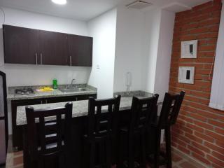 Apartamento amoblado en la Francia - 2