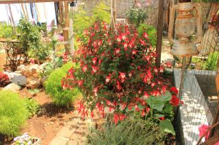 Apartments with a parking space Cres - 7984 - 3