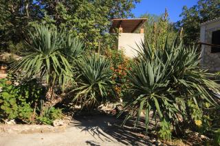 Seaside holiday house Cove Rogacic, Vis - 8889 - Vis - 4