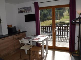 Studio avec grande terrasse face aux pistes, plein sud, animaux acceptés - FR-1-266-196 - Monginevro - 9