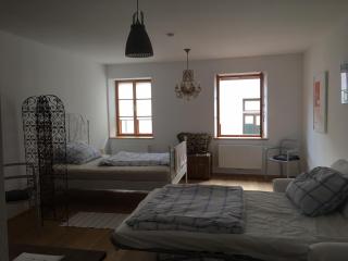 Apartment zur schönen Sophie - Gmunden - 3