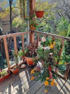 Apartment Mano - Tiflis - 2