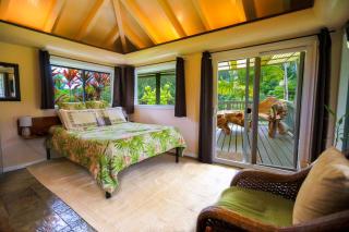 The Inn at Kulaniapia Falls - Hilo - 9