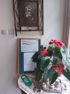 Guest House Pavlovic - Soko Banja - 2