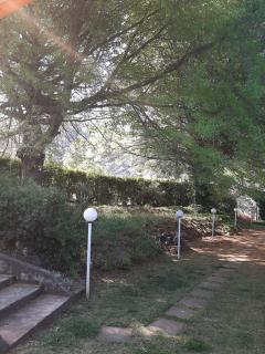 The Windmill - Clarens - 5