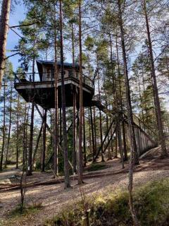 Tretopphytter På Grensen - Elghytta med robåt og gjeddefiske - Halden - 0