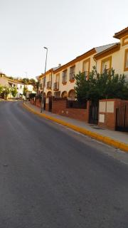 Casa Pedro - Benaoján - 9