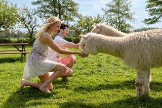 Inner Stillness Wellness Retreat - 7