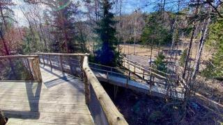 Tretopphytter På Grensen - Beverhytta med robåt og gjeddefiske - 4