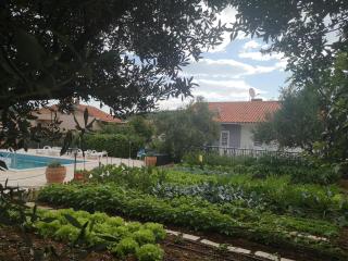 Villa Mendula Trogir - Luxury villa by the beach - heated pool - organic garden - 4