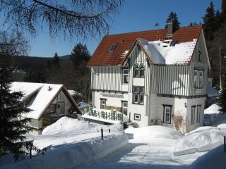 Villa Regina - Schierke - 8