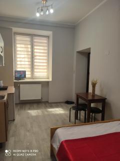 Apartment Lviv Center - 1